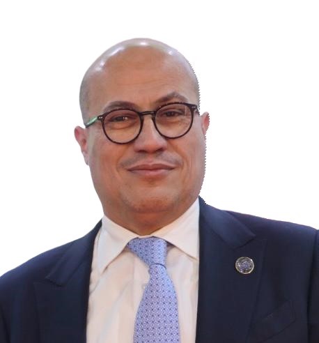 هشام النجار، نائب رئيس مجلس إدارة «دالتكس»