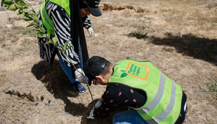 « Bernhard H. Mayer» تشارك في مبادرة زراعة الأشجار