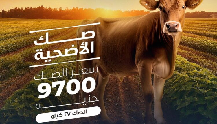 صك الأضحية من مؤسسة الجود