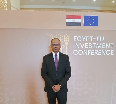 الدكتور سيد إسماعيل، نائب وزير الإسكان لشئون البنية الأساسية