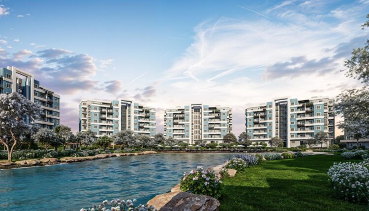 مشروع روك وايت