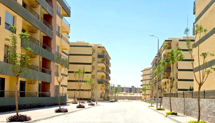جهاز مدينة 6 أكتوبر يواصل أعمال الزراعة والتجميل بمشروع «صبا» بالتوسعات الشمالية